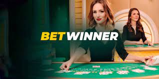 Exploring the Features of Betwinner Sportsbook